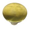 Zoe 19 Inch Modern Industrial Round Metal Side Accent Table with Pedestal Base; Glossy Brass; DunaWest